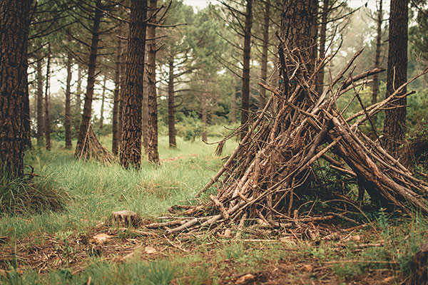 Ein kleines Shelter aus Stöcken gebaut.